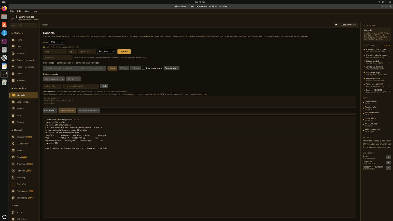SubnetSlinger on Linux — Console